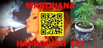 индика Новозыбков