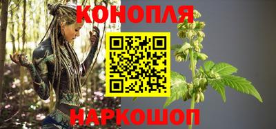 индика Новозыбков