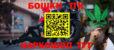 индика Новозыбков